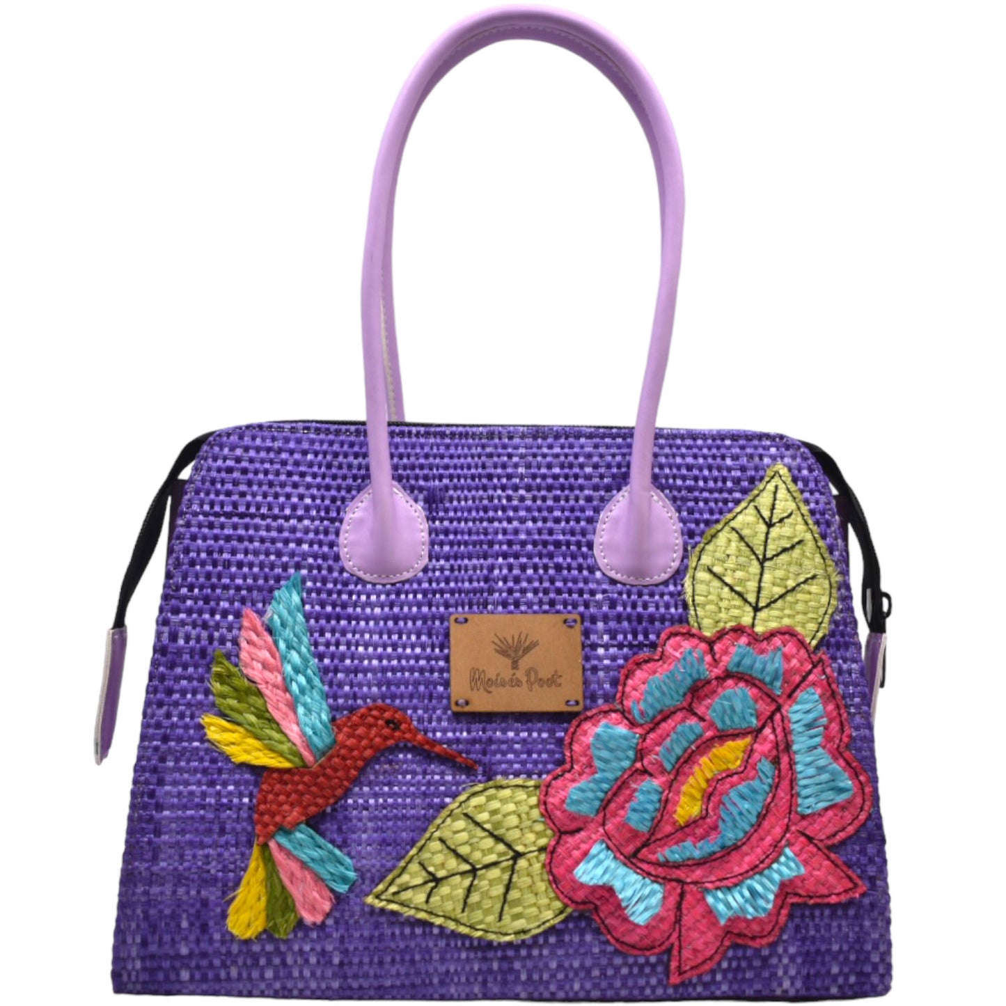 Monica hummingbird