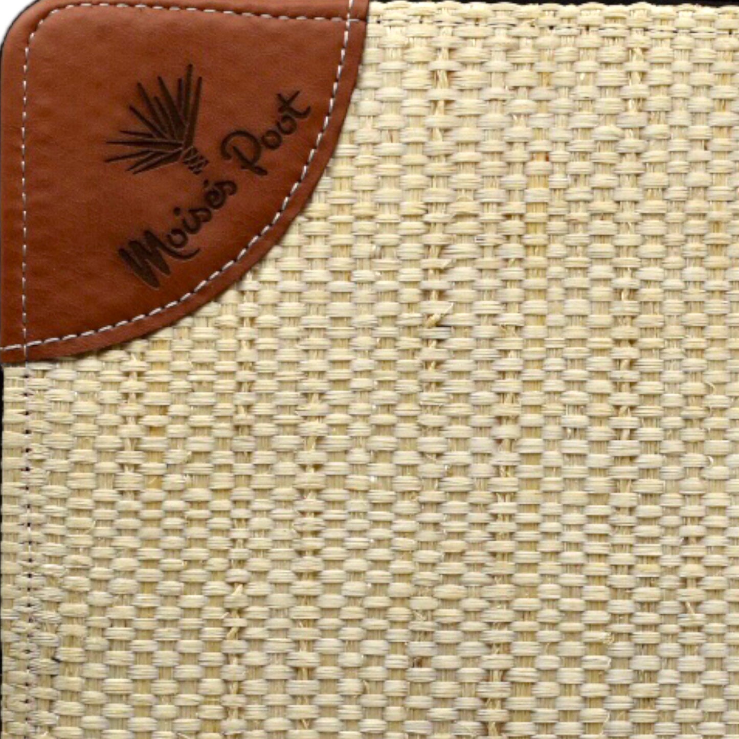 Carpeta cebra