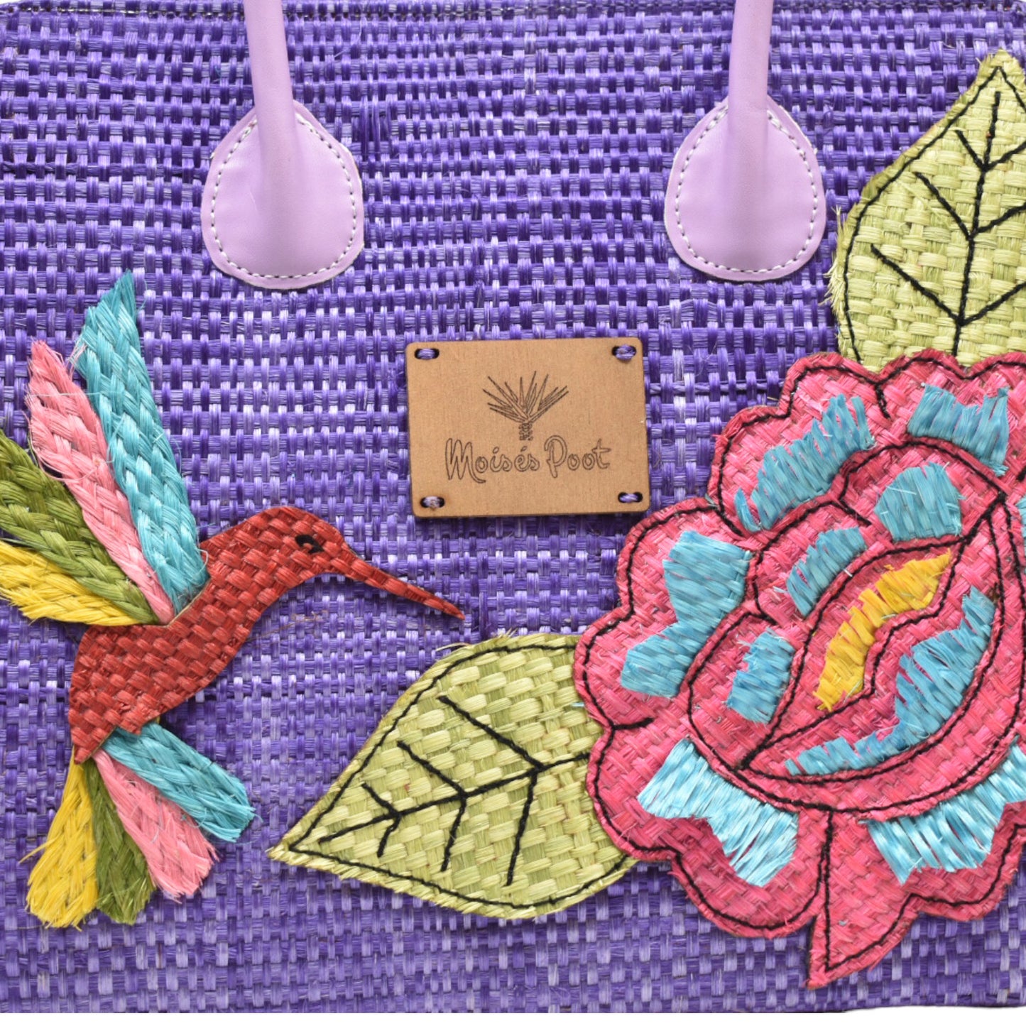 Monica hummingbird