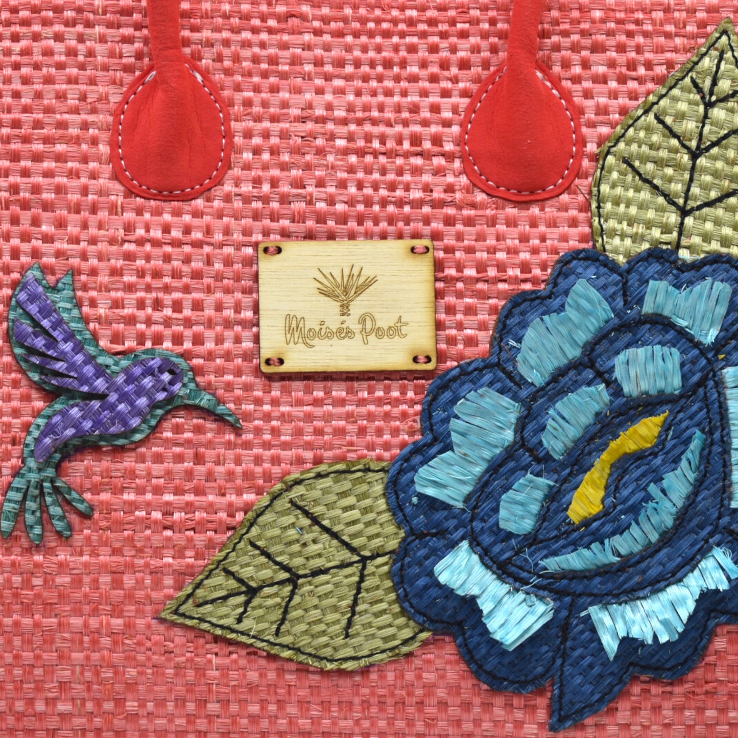 Monica hummingbird