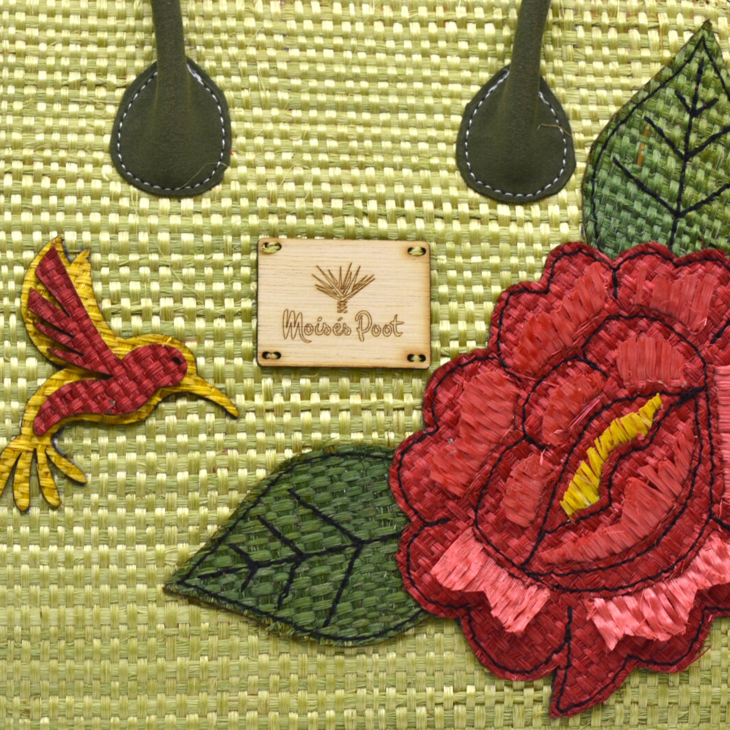Monica hummingbird