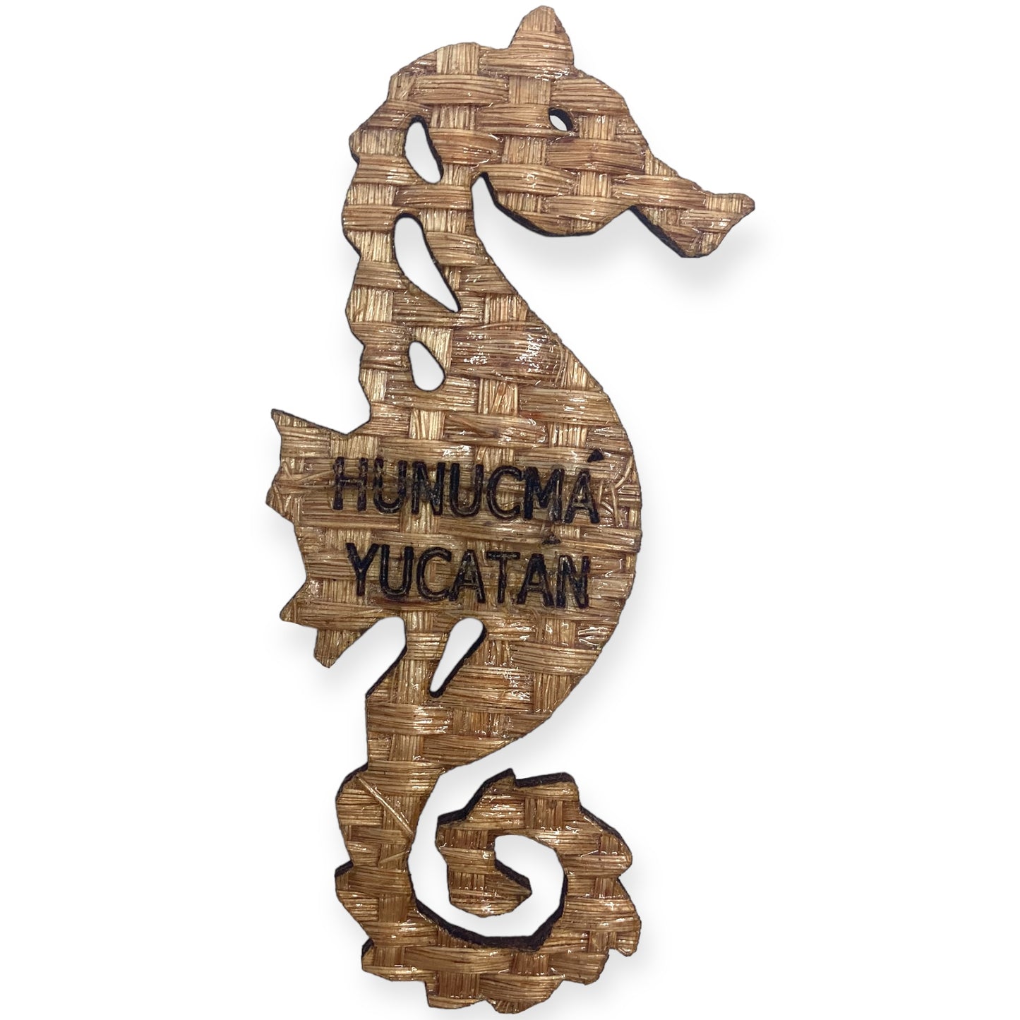 Seahorse Magnet