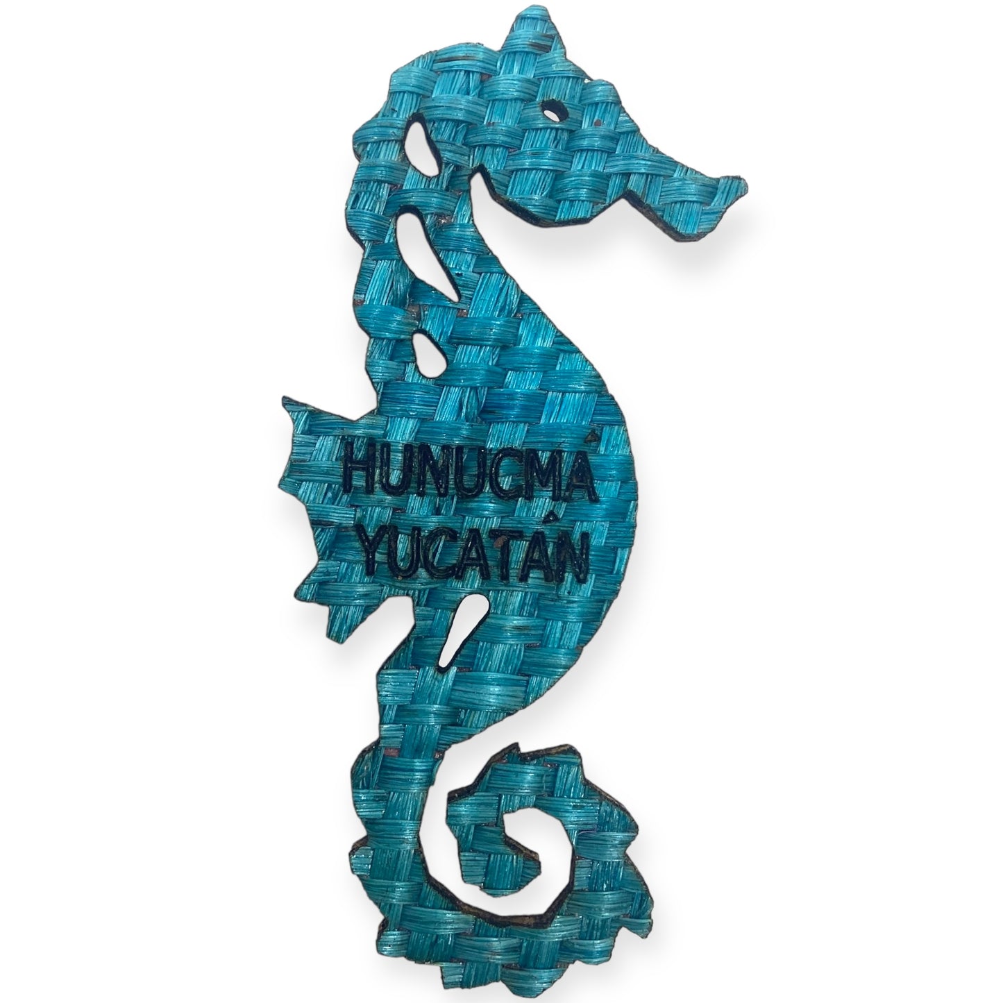 Seahorse Magnet