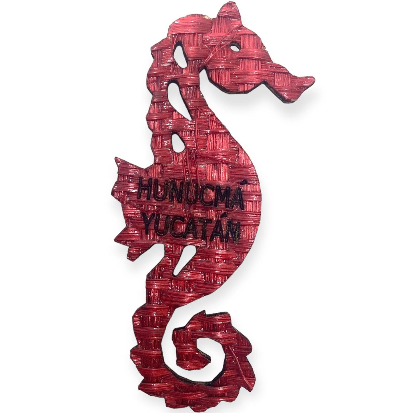 Seahorse Magnet